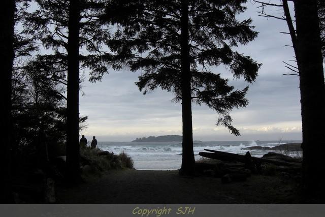 Large Photo of Winter Storm watching in Tofino, BC