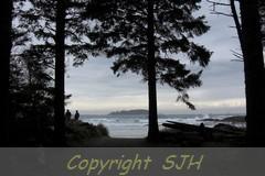 Small photo of two people watching the winter storm in Tofino, BC